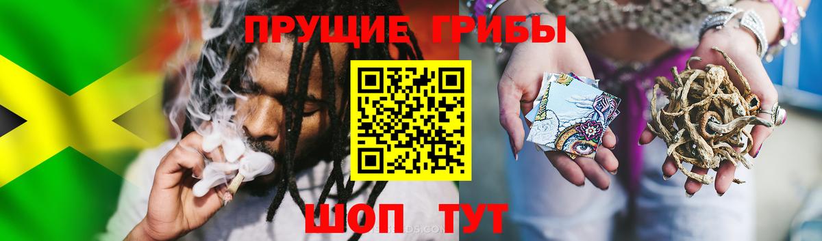купить наркотик  Вход с VPN  Астрахань  Галлюциногенные грибы Psilocybe 