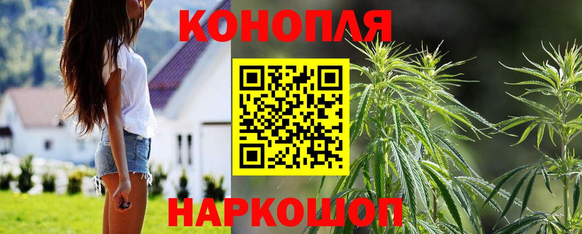 Конопля Bruce Banner Астрахань